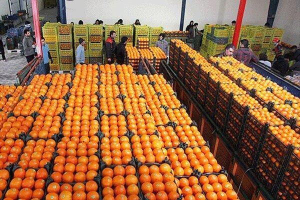 ذخیره سازی هزار و 200 تن میوه ویژه عید در هرمزگان